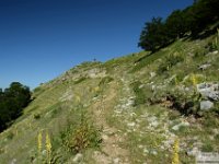 2026-06-20 Sopralluogo Trail Duchessa 032